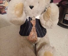 Teddy bear