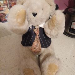 Teddy bear