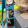 Giant TCR. Image 3
