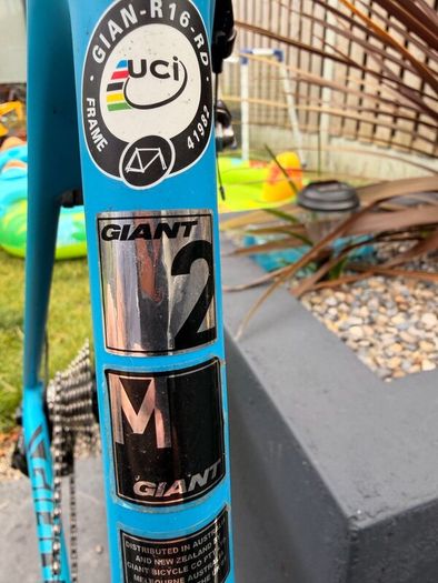 Giant TCR.