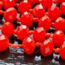 Red coral long necklace Image 2