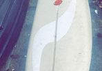 wind surfing board/ paddle board
