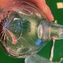 6 Crystal Jug Glasses Image 6