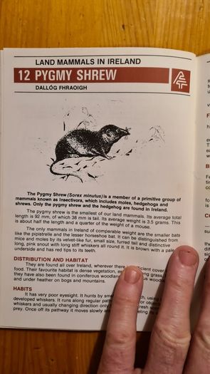 Land Mammals In Ireland. Issued By Forest And Wildlife Service. Leesonane Dublin. Booklet.1986.