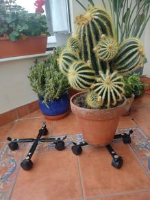 Plantpot trollies.