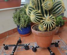 Plantpot trollies.
