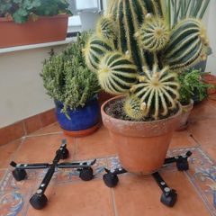 Plantpot trollies.
