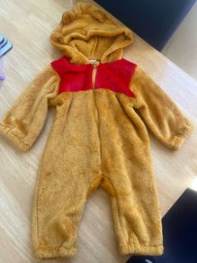 Baby bear / Winnie The Pooh Costume