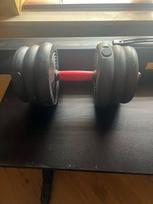 dumbells