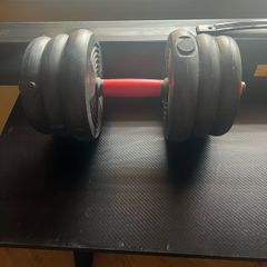dumbells