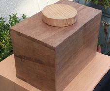 Cremation/Burial Urn