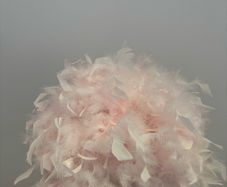 light