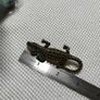 brooch/pendant Image 3