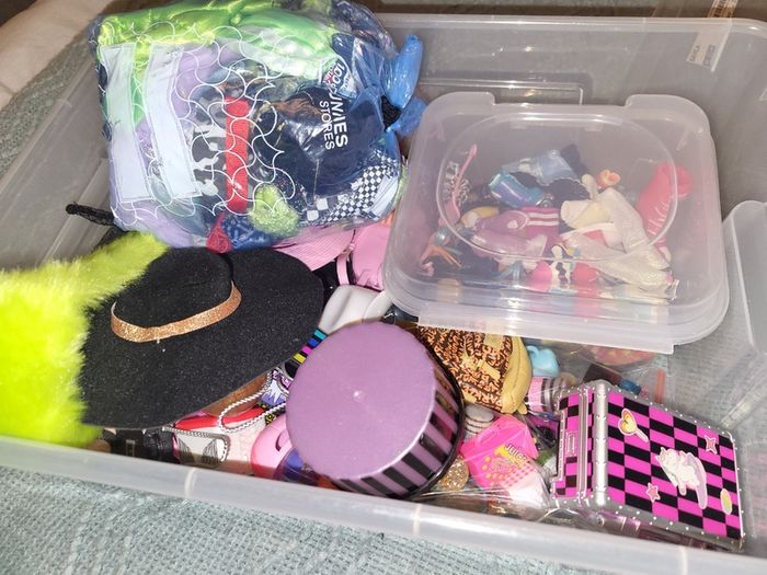 OMG Dolls/Rainbow High Dolls. Reduced Price!