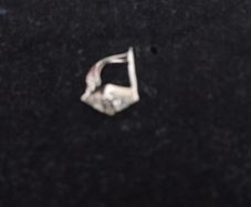 Diamond 585 earrings