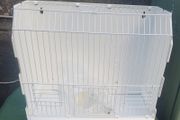 cage