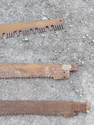 Three vintage crosscut saw blades,