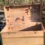 Old Irish Pine Wooden Chest Width 100cm Depth 53cm Height 51cm Image 3