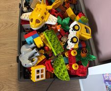 duplo