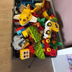 duplo