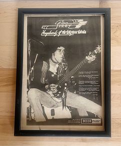 Phil Lynott / Thin Lizzy  1973 Wall Art