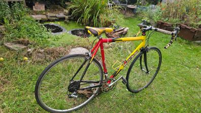 Sintesi Road Bike