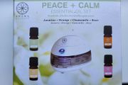 Essential Oils set