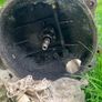 VW T2 Beetle gearbox Image 2