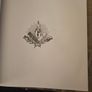 Freemasonry. Illustrated History Of The Once Secret Order.by Jack M. Driver. First Edition Very Large Volume Hardback With Dustjacket In Good Condition.  See Photos For Same. Image 5