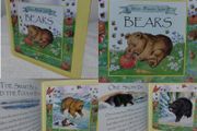 Bear Stories Hardback Storybook