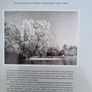 FOREST IMAGES. Fr Browns Woodland Photographs From Emo Court In Co Laois Over 20 Years. Image 8