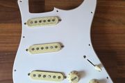 pickguard loaded