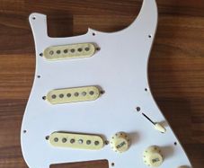 pickguard loaded