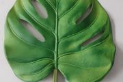 Large Monstera Swiss cheese plant artificial leaf 70cm