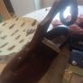 wooden shoe wine rack Dutch bottle holder Image 2