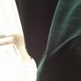 Vintage Velvet Coat  and Dress Image 4