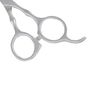 Professional Pet Straight Blade Scissors Image 2