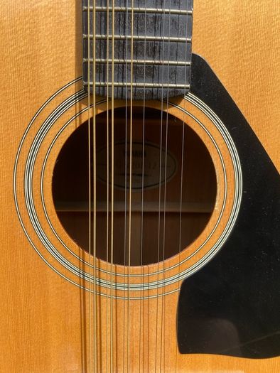 12-String Acoustic Electric Guitar (Yamaha FG420E-12)