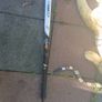 Childrens hockey stick Image 2
