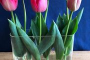 Oval Glass Vase