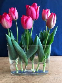 Oval Glass Vase