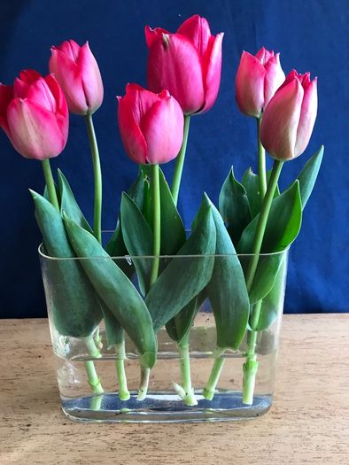 Oval Glass Vase