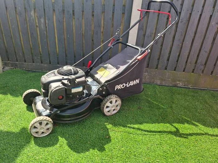prolawn briggs and stratton