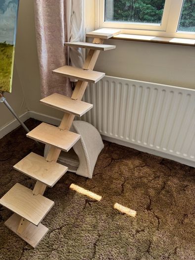 Ladder for cats