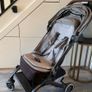 buggy Image 2
