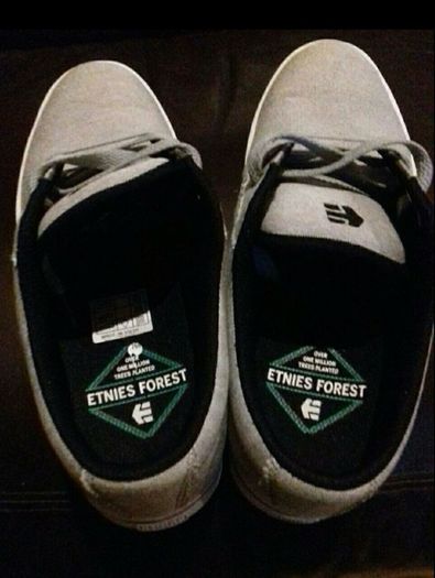 Etnies Forest Skate Shoes UK Size 6
