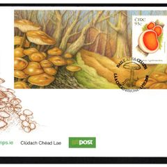 2008 Ireland Fauna and Flora Fungi Commemorative Stamp Miniature Sheet Mint An Post First Day Cover (FDC)