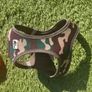 Dog Items - all new Image 5