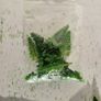 New Model Trees Pack C: ( Hornby Bachmann MicroScalextric wargames Scenic Lima Scalextric ) Image 5