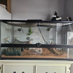 reptile tank